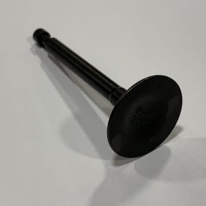Clone Intake Valve Stock