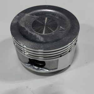 Predator Non Hemi Piston Assembly