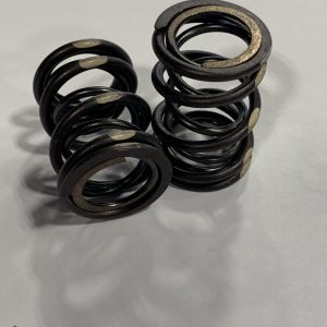Dual Valve Spring Set 55#