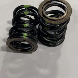 Dual Valve Spring Set 46#