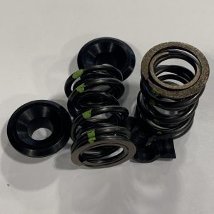 Animal Dual Valve Spring Kit