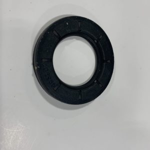Briggs PTO Seal Flathead