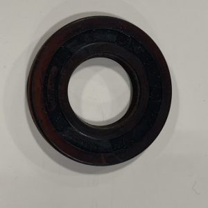Briggs Old Style PTO Seal