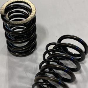 65# Dual Valve Spring Set Big Block